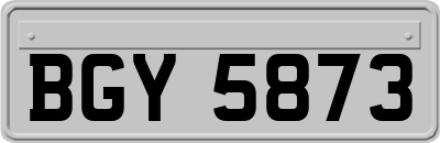 BGY5873