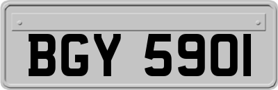 BGY5901