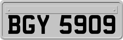 BGY5909