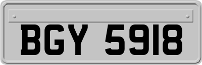 BGY5918