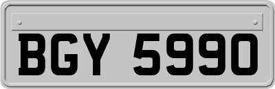 BGY5990