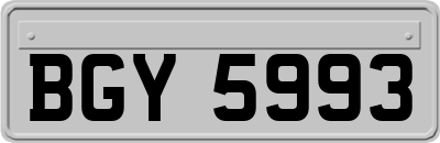 BGY5993