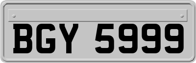 BGY5999