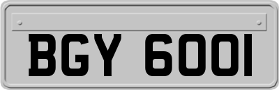 BGY6001