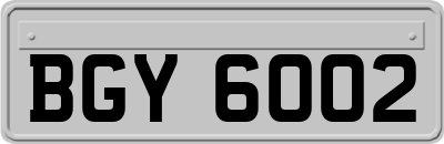 BGY6002