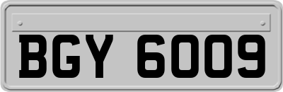 BGY6009