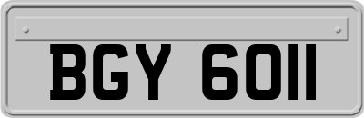 BGY6011