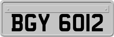 BGY6012
