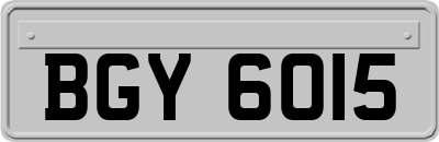 BGY6015
