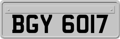 BGY6017