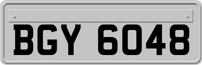 BGY6048