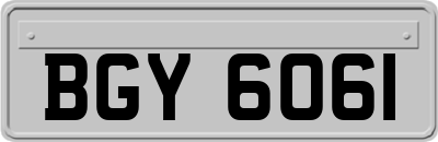 BGY6061