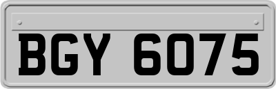 BGY6075