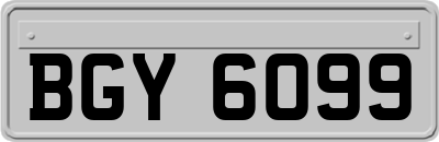 BGY6099