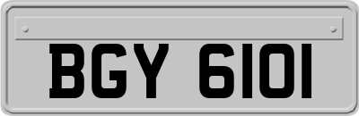 BGY6101