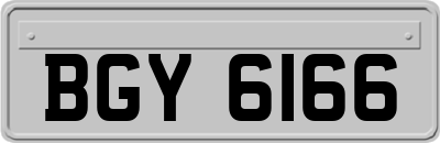 BGY6166
