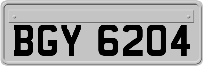 BGY6204