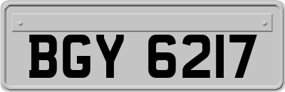 BGY6217