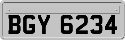 BGY6234