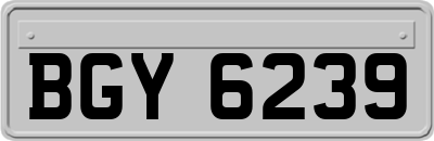 BGY6239