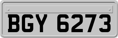BGY6273