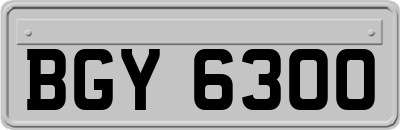 BGY6300