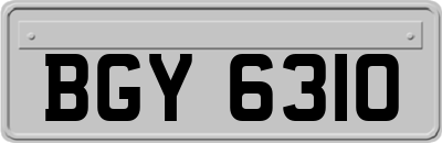 BGY6310