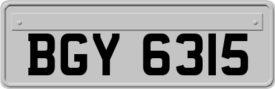 BGY6315