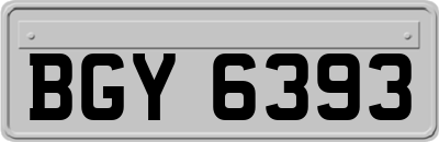 BGY6393