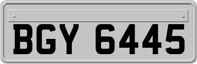 BGY6445