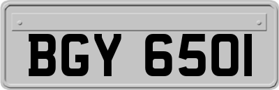 BGY6501