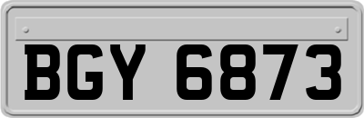 BGY6873