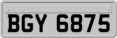 BGY6875