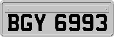BGY6993