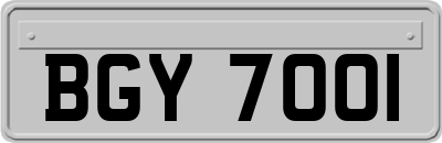 BGY7001