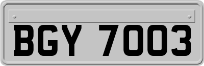 BGY7003