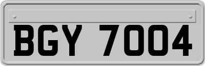 BGY7004