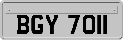 BGY7011