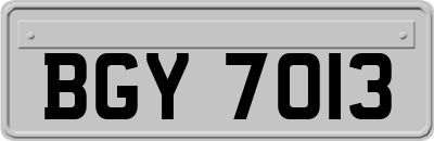 BGY7013