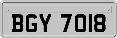 BGY7018