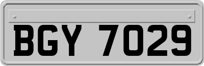 BGY7029