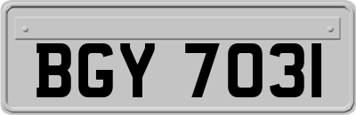 BGY7031