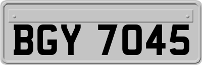 BGY7045