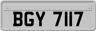 BGY7117