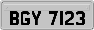 BGY7123
