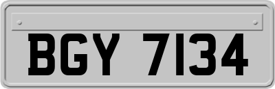 BGY7134