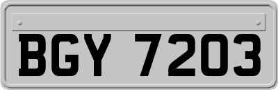 BGY7203