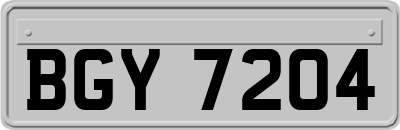 BGY7204
