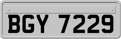 BGY7229