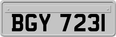 BGY7231